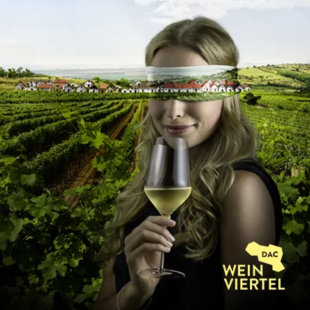 Titelbild zur Veranstaltung WEINVIERTEL DAC Verkostung - WIEN