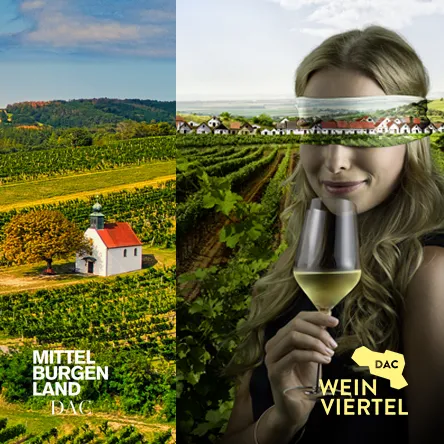 Titelbild zur Veranstaltung WEINVIERTEL & MITTELBURGENLAND in GÖTZIS