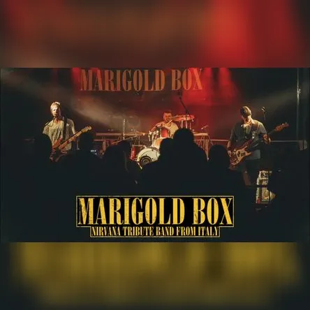 Titelbild zur Veranstaltung Nirvana Tribute Live Band - Marigold Box