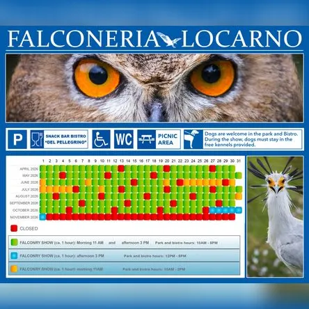 Titelbild zur Veranstaltung Falconeria Locarno