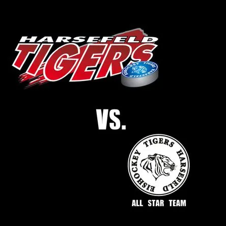 Titelbild zur Veranstaltung TuS Harsefeld Tigers - All-Star-Team