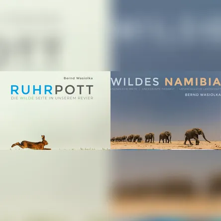 Titelbild zur Veranstaltung Wildes Namibia & Wilder Ruhrpott