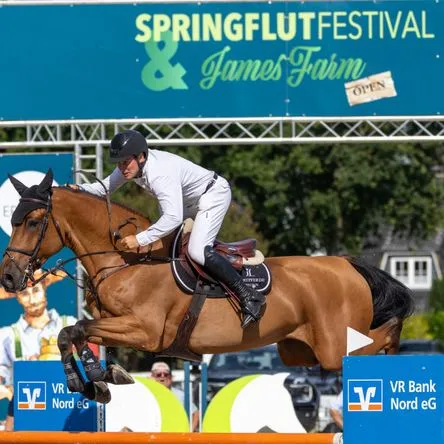 Titelbild zur Veranstaltung Tagesveranstaltung Springflut Festival