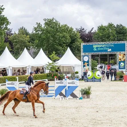 Titelbild zur Veranstaltung Tagesveranstaltung Springflut Festival