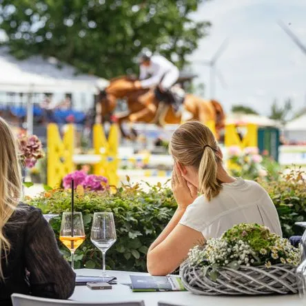 Titelbild zur Veranstaltung VIP Springflut Festival
