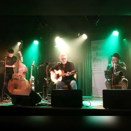 Titelbild zur Veranstaltung BLUES FOR FRETS