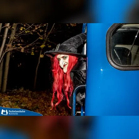 Titelbild zur Veranstaltung Nikolausfahrten der Parkeisenbahn