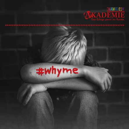 Titelbild zur Veranstaltung Traumapädagogik