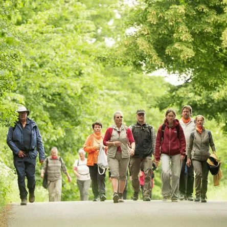 Titelbild zur Veranstaltung 29. Bürener Wandertag mit Marathon
