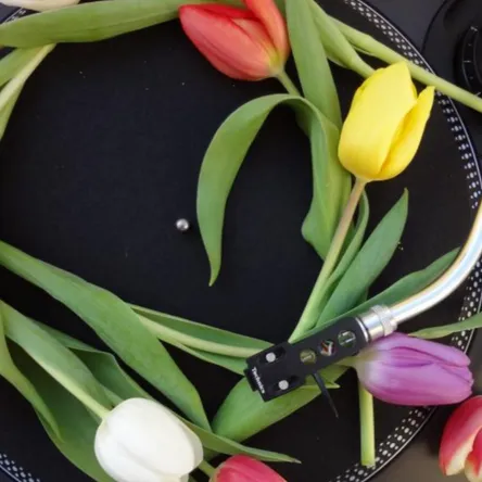 Titelbild zur Veranstaltung Tanz in den Mai