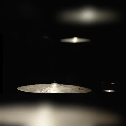 Titelbild zur Veranstaltung Autophagy III