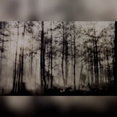 Titelbild zur Veranstaltung Zwischen "Erinnertem und Vergessenem"