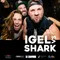Titelbild zur Veranstaltung Igel vs. Shark