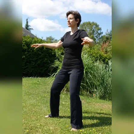 Titelbild zur Veranstaltung Qi Gong auf der Weide in der Natur
