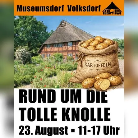 Titelbild zur Veranstaltung Rund um die tolle Knolle