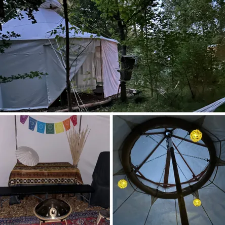 Titelbild zur Veranstaltung Kräuterwanderung & Wildkräuter-Kochkurs