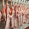 Titelbild zur Veranstaltung Zerlegekurs Schwein mit Wurstherstellung