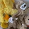 Titelbild zur Veranstaltung Puppen- & Teddyklinik: Stofftier-Stopfen