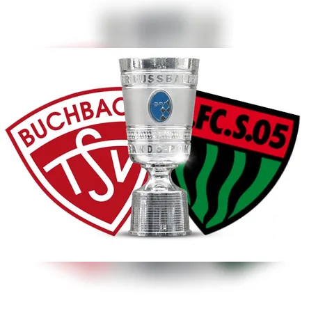 Titelbild zur Veranstaltung TSV Buchbach : 1. FC Schweinfurt 1905