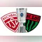 Titelbild zur Veranstaltung TSV Buchbach : 1. FC Schweinfurt 1905