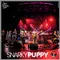 Titelbild zur Veranstaltung Snarky Puppy