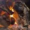 Titelbild zur Veranstaltung Asado Spar Bundle