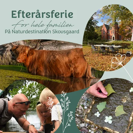 Forsidebillede til event 